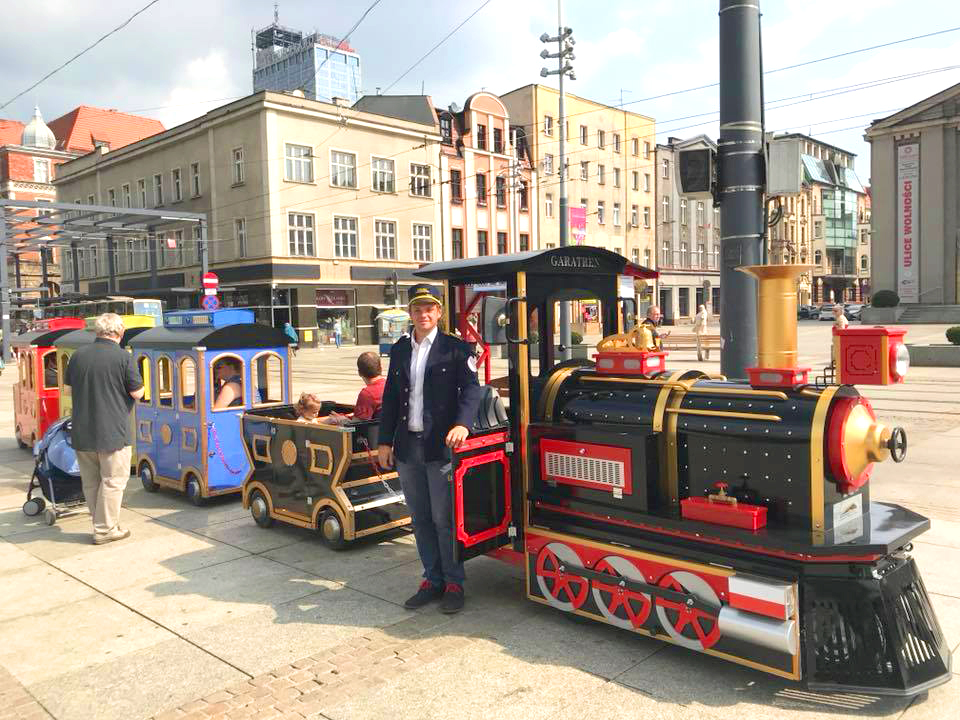 Small Electric Train That You Will be Liked